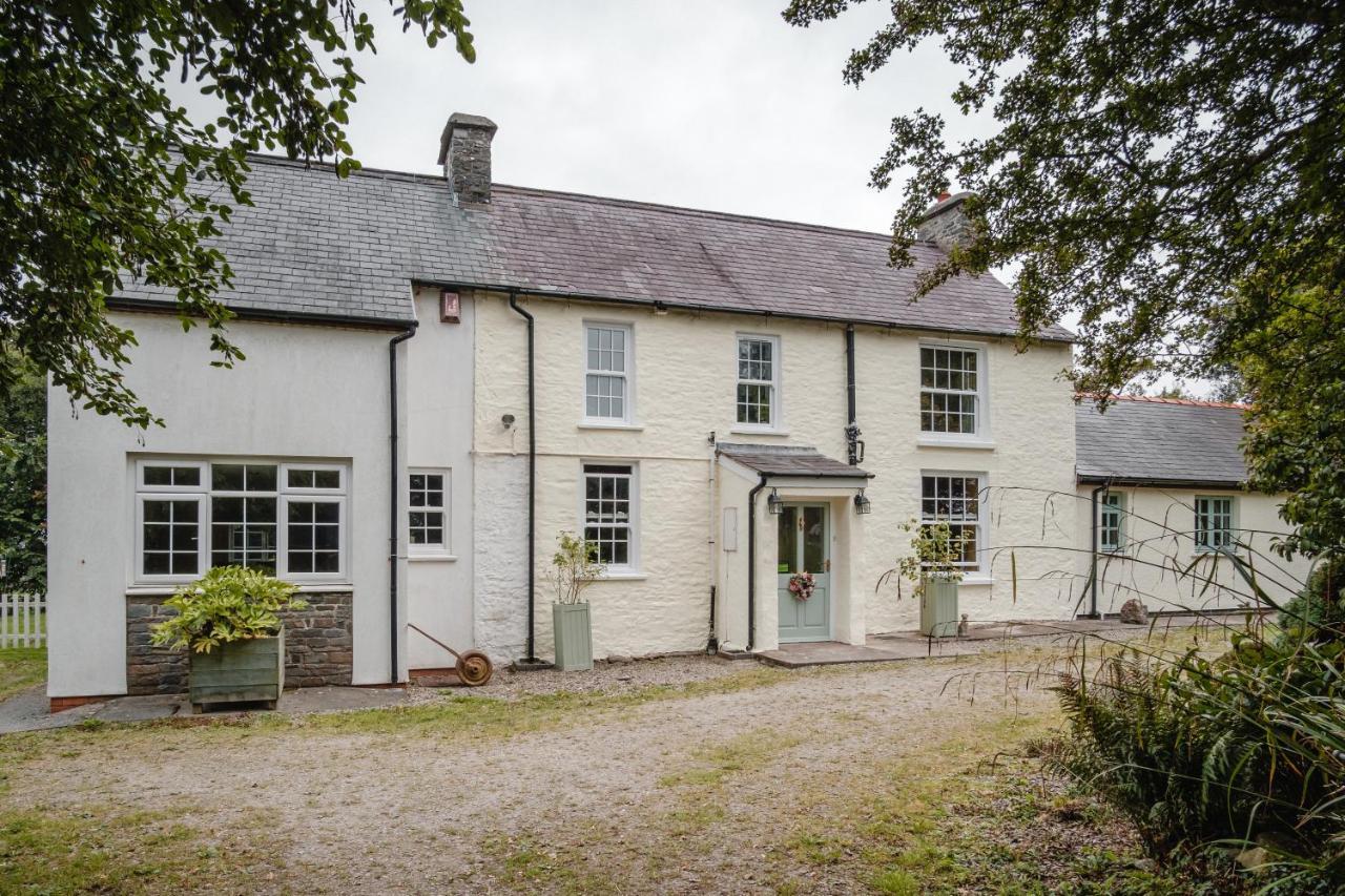 The Green Door Vegan B&B Llanon Exterior photo