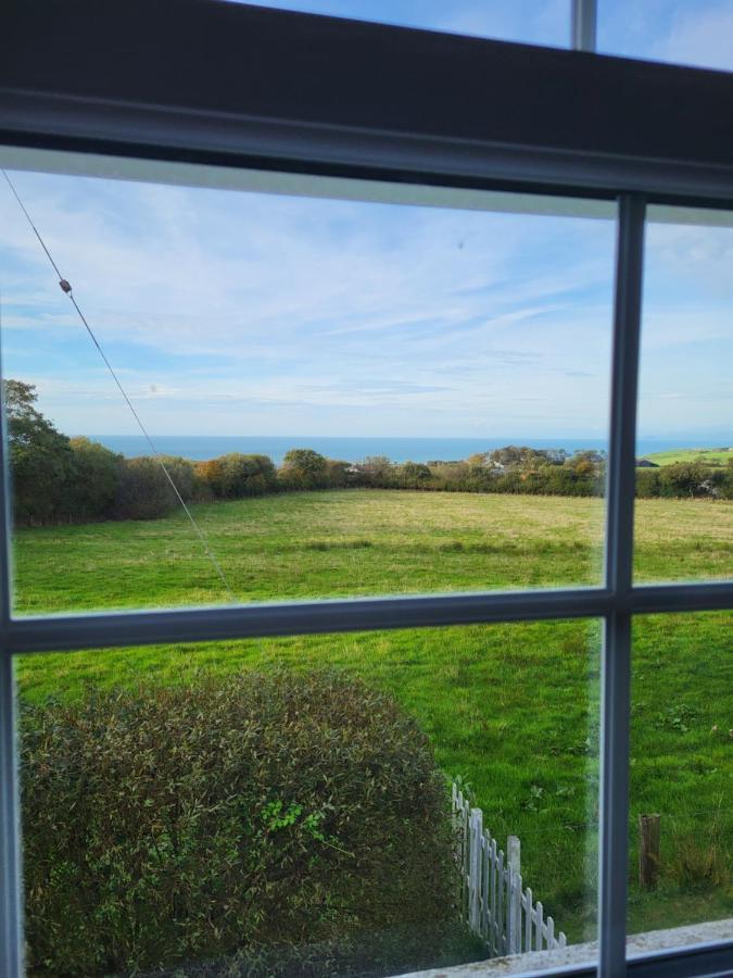 The Green Door Vegan B&B Llanon Exterior photo